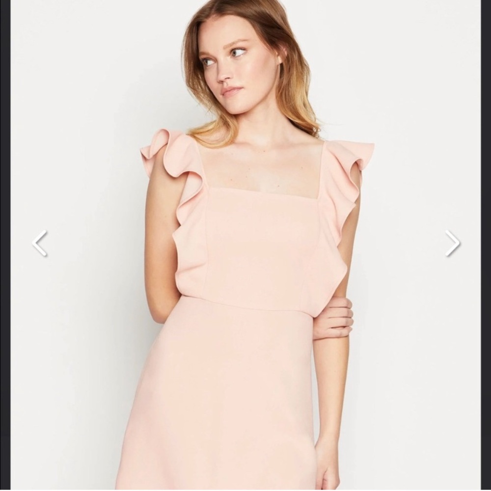 BCBGeneration Pink Ruffle Sleeve Dress Size 6